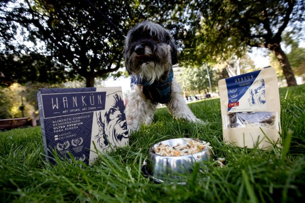 Los próximos lanzamientos son una línea para cachorros y otra para perros con alergias alimentarias.