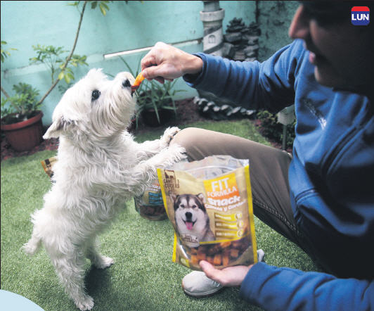 Hay una mezcla de olor y sabor que incentiva a los
perros a comer.