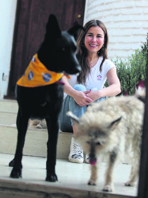 "Partiremos con 100 perros disponibles para la adopción", detalla Carolina Guerrero.