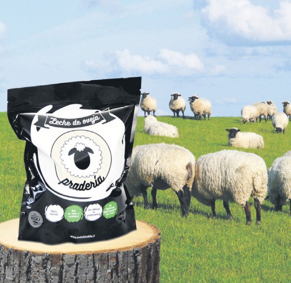 La marca Pradería aporta la innovación en la categoría en polvo.