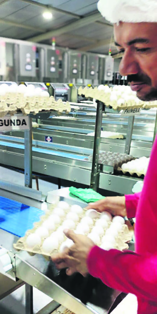 En Huevos Don Vicho plantean que los puntos de venta quieren potenciar su marca para fidelizar clientes.
