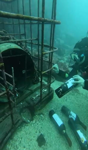 La cava marina ofrece una experiencia completa.