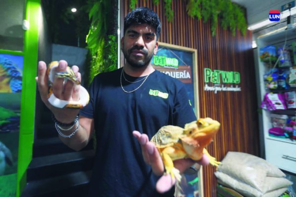 "Los reptiles debieran venir dos veces al año al veterinario", dice Diego Araya.