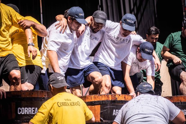 El perfil de los visitantes a estas actividades es cada vez más variado y familiar.